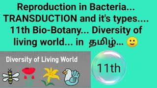 Transduction Bacteria 11th BioBotany Diversity of living world In tamil 🙂 [upl. by Donelle]