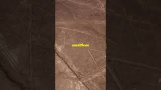 We Found New Nazca Lines Using AI [upl. by Ultan456]