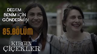 Meral’in yeni eşyaları  Kırgın Çiçekler 85Bölüm [upl. by Huntlee356]