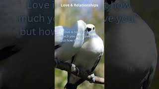 Inspiration for Love and Relationships 1 [upl. by Nilreb]