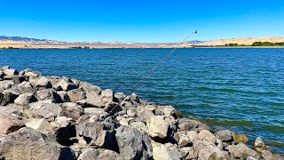 Fishing O’Neill Forebay Reservoir Ca [upl. by Augustina]