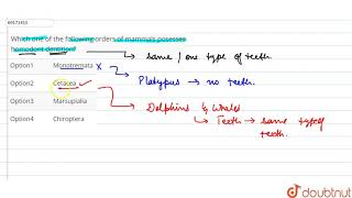 Which one of the following orders of mammals posesses homodont dentition [upl. by Atnuahsal127]