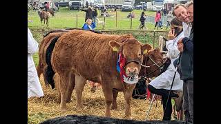 Stokesley Show 2024 [upl. by Aksoyn]