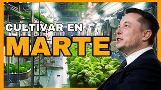 ¿CÓMO CULTIVAREMOS en MARTE 🔥 [upl. by Anawik371]