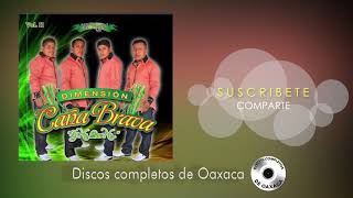 DIMENSION CANA BRAVA VOL 2  DISCO COMPLETO CHILENAS [upl. by Maxia48]