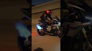 Ninja H2 vs YZF R1M 🥵 which is the best bike shorts r1m h2r [upl. by Aicirtal500]