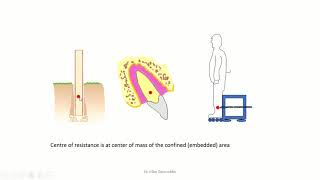 Basics of Biomechanics 1 center of mass and center of resistance [upl. by Ayanej502]