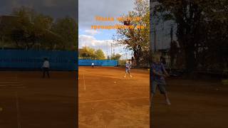 Borkatabg3 тенис топки тениснакорд tennisfunny cord tennis тренировка workout shorts [upl. by Gough403]