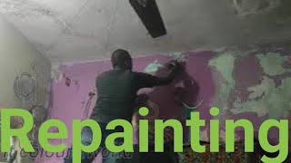 Repainting on wall  Jsw pixa colour interior colour code 5041  how to apply colour on wall [upl. by Alaj]