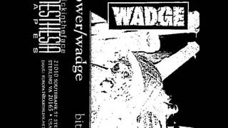 BLOWER  Unchallenged Hate Napalm Death cover [upl. by Ellevehc22]