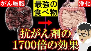 【科学的根拠あり】がん細胞を消滅させる食べ物3選！癌の増殖・転移を阻害【悪性新生物｜すい臓がん｜大腸がん｜胃がん｜原因】 [upl. by Eveam]