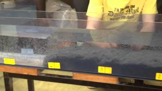 Turbidity Flow in Flume Tank [upl. by Elbertine144]