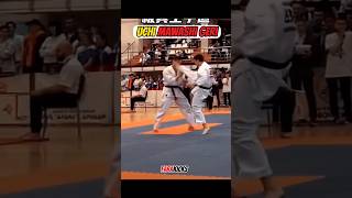 Uchi Mawashi Geri karate martialarts mma [upl. by Morell]