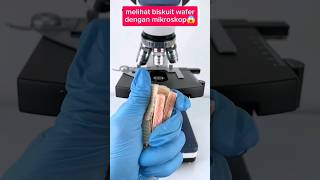 Melihat biskuit wafer dengan mikroskop🤤 fakta faktaunik experiment [upl. by Eniamrahc]