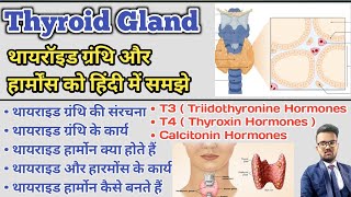 Thyroid Gland in hindi  Thyroid Hormones  T3  T4  Thyroxin Hormones  Thyroid Profile Test [upl. by Aviv]