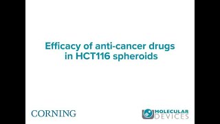 Efficacy of anticancer drugs in HCT116 spheroids [upl. by Aidan]