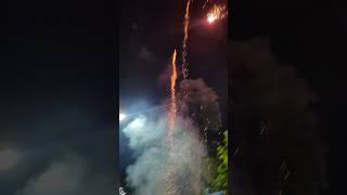 35 Sony fireworks skyshots with standard crackers phataka fireworksdisplay shorts indian [upl. by Rondi]