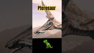 🦖 What is a Pterosaur What was a Pterosaur What is a Pterodactyl dinosaur pterosaurus history [upl. by Oirromed]