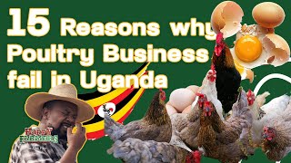 15 REASONS WHY POULTRY BUSINESSES FAIL IN UGANDA A MUST WATCHivankimulikigozi happyfarmersug [upl. by Iddet]