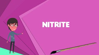 What is Nitrite Explain Nitrite Define Nitrite Meaning of Nitrite [upl. by Euhsoj]