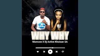 WHY WHY feat Dj Active Khoisan SA [upl. by Rickie]