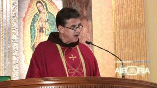 Homily  Rev John Coughlin OFM  St Lawrence Spiritually Fruitfulness [upl. by Fakieh]