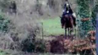 Brosna Foxhounds  Fox Hunting in Daingean  Part 1 [upl. by Evangelia]