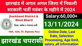 झारखंड में अगल अगल जिला में निकली सरकारी भर्ती नवंबर के महीने में 2024  Jssc Block Level Vacancy [upl. by Acisej320]