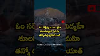 POWERFULL MANTRA OF LOARD SHIVE loardshiva powerfullhealing rudra mantra [upl. by Ahsaercal]