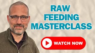 IS RAW DOG FOOD BETTER Feat Raw Pet Medic Dr Brendan Clarke [upl. by Ebbarta520]