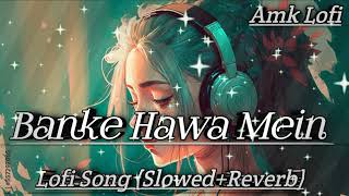 Banke Hawa main lofi song slowedreverb lofi lofisong lofimusic [upl. by Kathe]