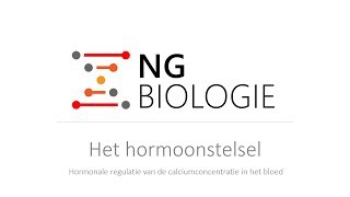 Het hormoonstelsel  hormonale regulatie van het calciumgehalte in het bloed  VWO [upl. by Nojid999]