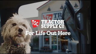 Life with Pets  No Two Days Are the Same farmanimals petlover petsupplies [upl. by Dnalevets]