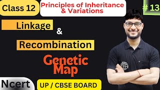 Linkage and Recombination  Class 12 Biology  NCERT UPCBSE BOARD  Manish sir [upl. by Laurent560]