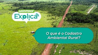 O que é o Cadastro Ambiental Rural  Greenpeace Explica [upl. by Enyrhtak]