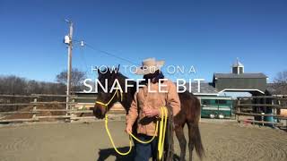 How to put a snaffle bit on a horse [upl. by Akirehs]