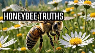 5 LesserKnown Facts About Honeybees 🐝 [upl. by Gherardi462]