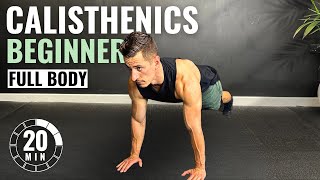 20 Min BEGINNER CALISTHENICS WORKOUT at Home  No Equipment [upl. by Rika]