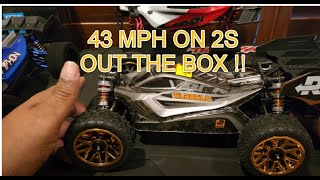 ARRMA TYPHON GROM OR RLAARLO 114 BUGGY 43MPH ON 2S OUT THE BOX  IM IMPRESSED [upl. by Granlund502]