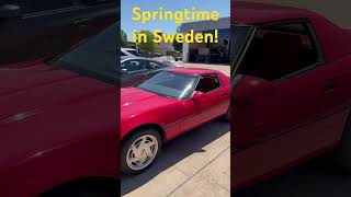 Sneak Peek 1988 Saab 900 Turbo Springtime in Sweden edition and a 1989 Corvette Convertible [upl. by Livy]