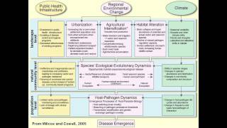 Zoonoses lecture Melissa Leach [upl. by Halda614]