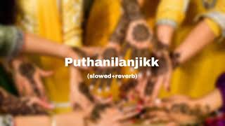 puthanilanjikk slowedreverbmailanji monjulla veedmalayalam slowed song [upl. by Murdoch]