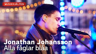 Jonathan Johansson  Alla fåglar blåa  Musikhjälpen 2023 [upl. by Ethbinium678]