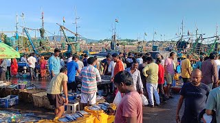 Vizag Fishing Harbour 💙 [upl. by Assetnoc]