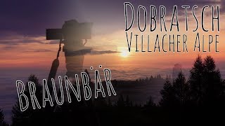 Dobratsch  Villacher Alpe  Braunbär Der Tag beginnt Timelapse [upl. by Bonnette]