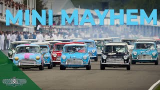 Opening lap mayhem in the allMini Goodwood Revival race [upl. by Ninazan]