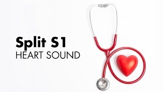 Split S1  Heart Sounds  MEDZCOOL [upl. by Lawry237]