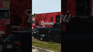 Daytona bike week Clydesdales 2024 [upl. by Yerffoj]