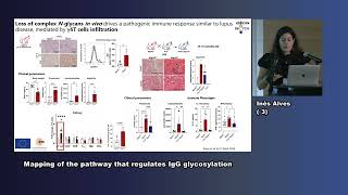 Dr Inês Alves  GlycanSwitch as a key mechanism inthe loss of selftolerance [upl. by Kari]