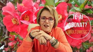 MARTI 9 APRILIE 2024 ☀♈ HOROSCOPUL ZILEI cu astrolog Acvaria [upl. by Amsa]